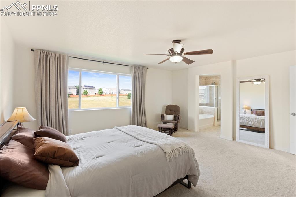 2245 Reed Grass Way Colorado Springs CO 80915