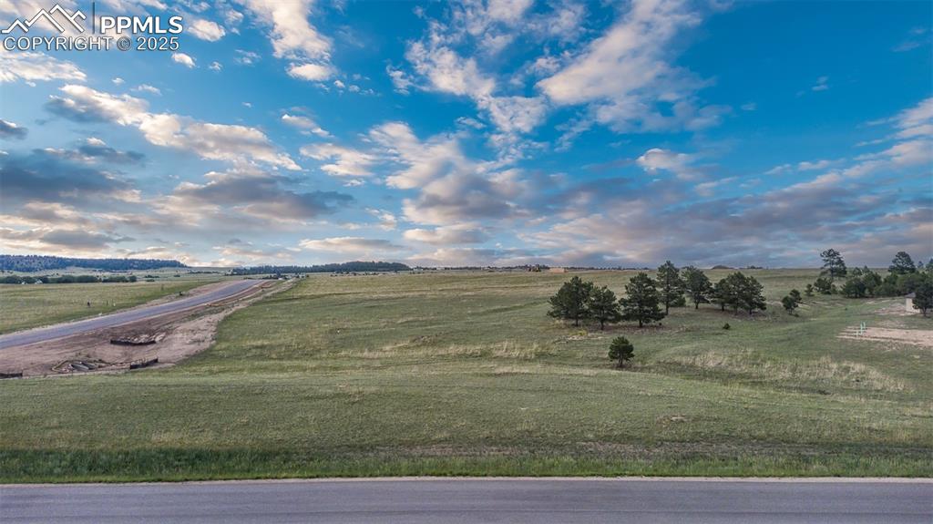 11516 Bison Meadows Court Colorado Springs CO 80908