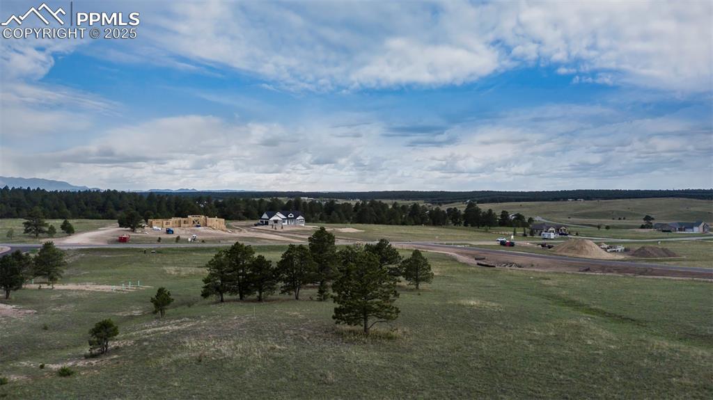 11516 Bison Meadows Court Colorado Springs CO 80908