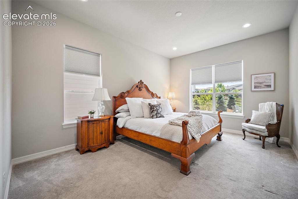 332 Alumroot Street Castle Rock CO 80104