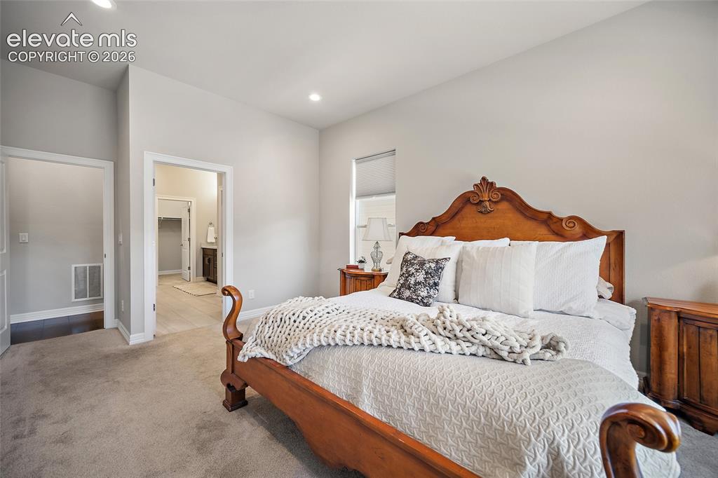 332 Alumroot Street Castle Rock CO 80104