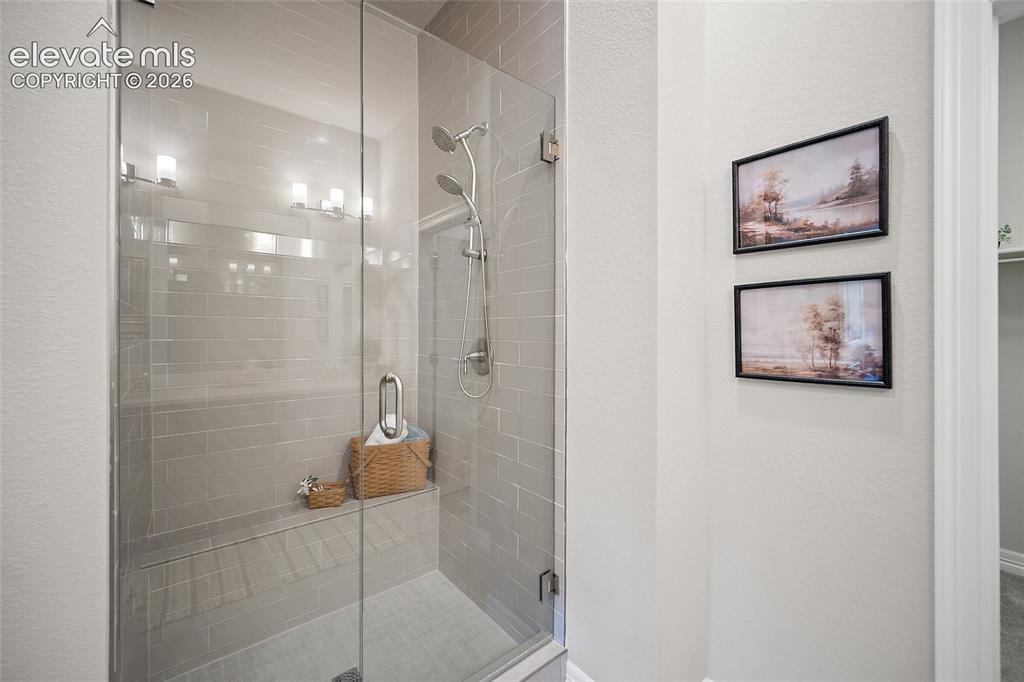 332 Alumroot Street Castle Rock CO 80104