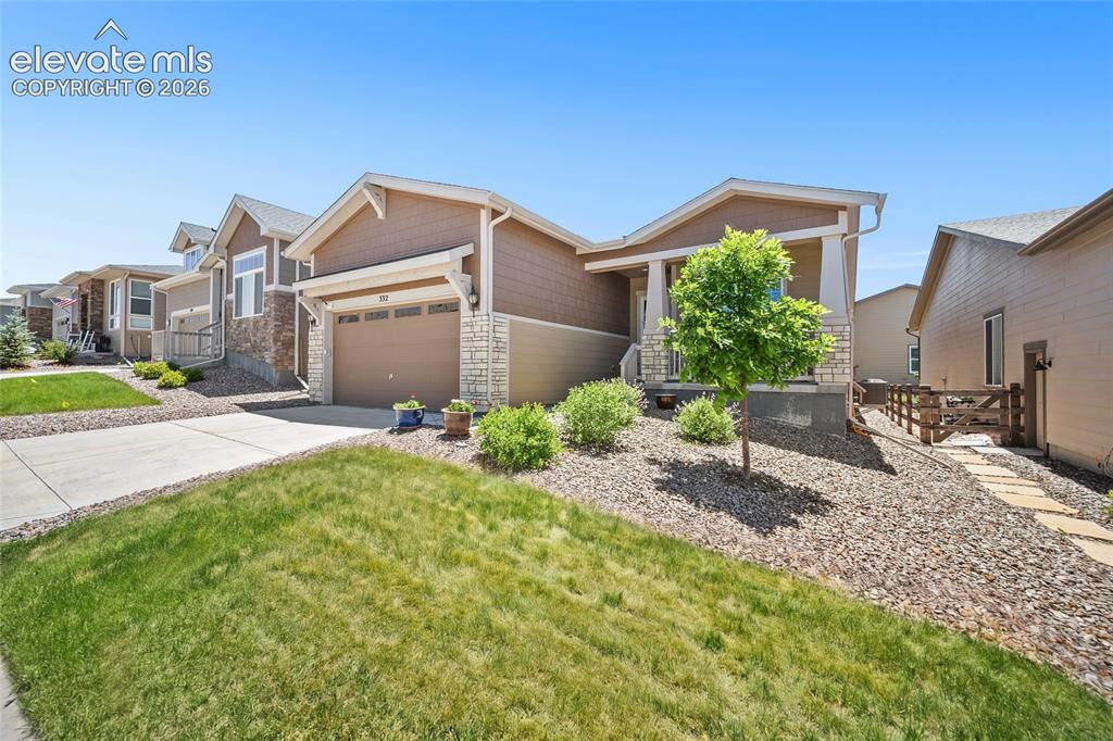 332 Alumroot Street Castle Rock CO 80104