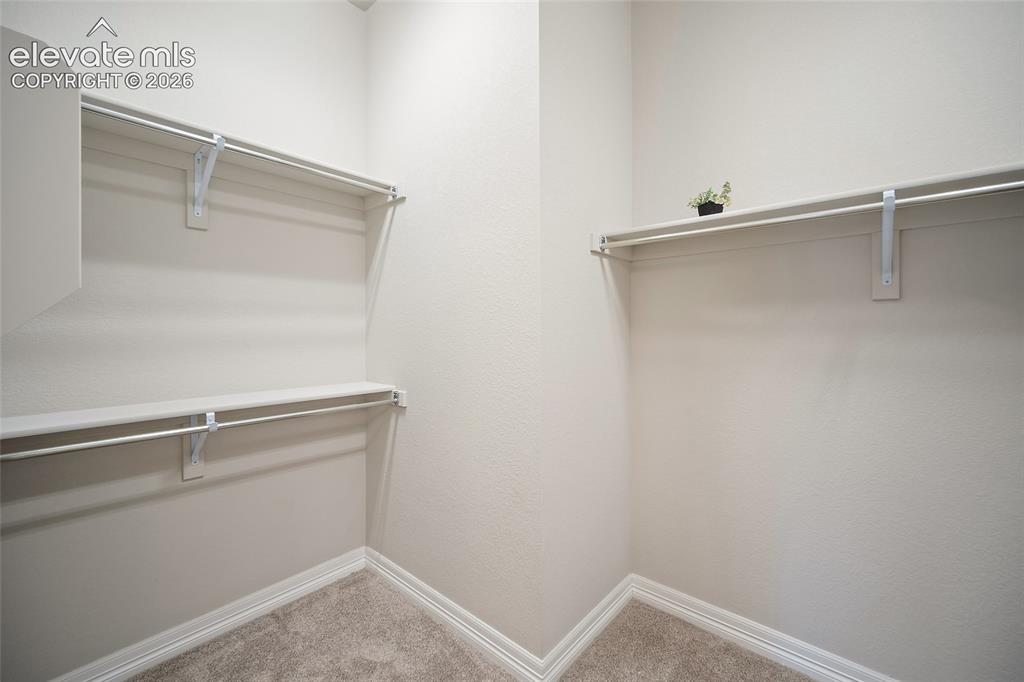 332 Alumroot Street Castle Rock CO 80104
