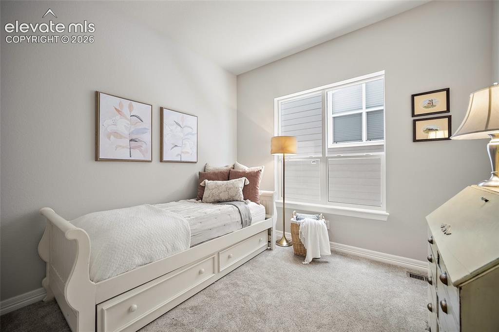 332 Alumroot Street Castle Rock CO 80104