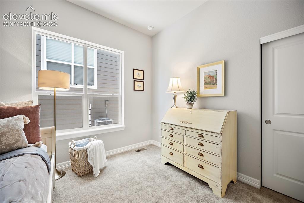 332 Alumroot Street Castle Rock CO 80104