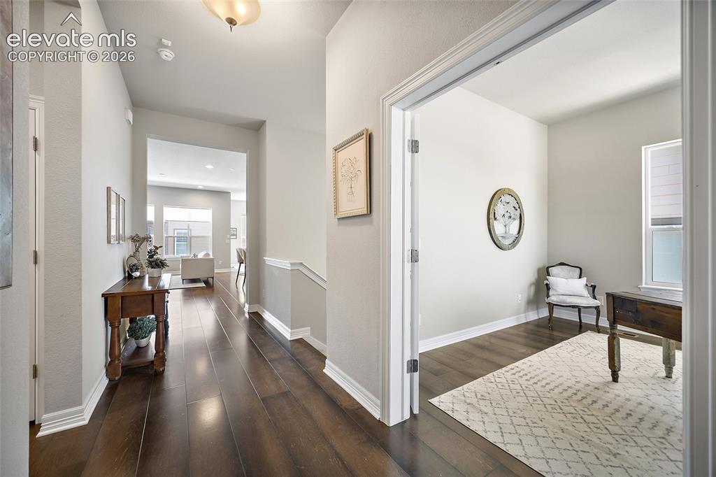 332 Alumroot Street Castle Rock CO 80104