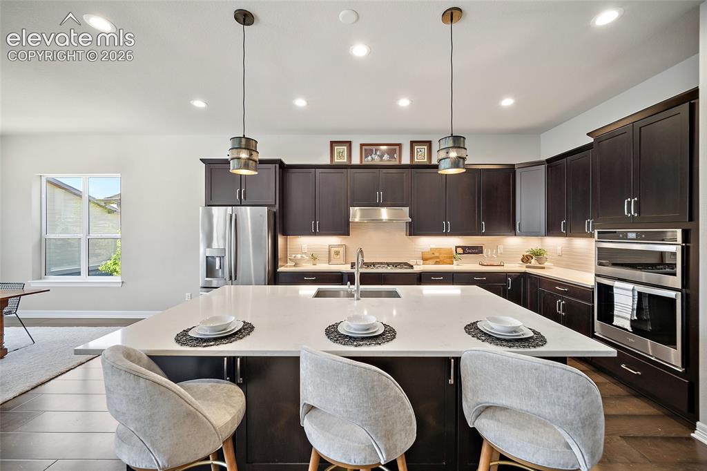 332 Alumroot Street Castle Rock CO 80104