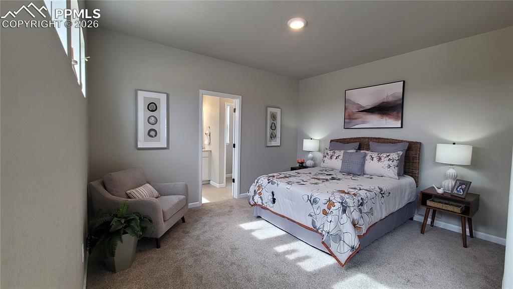 9439 Jollity Point Colorado Springs CO 80924