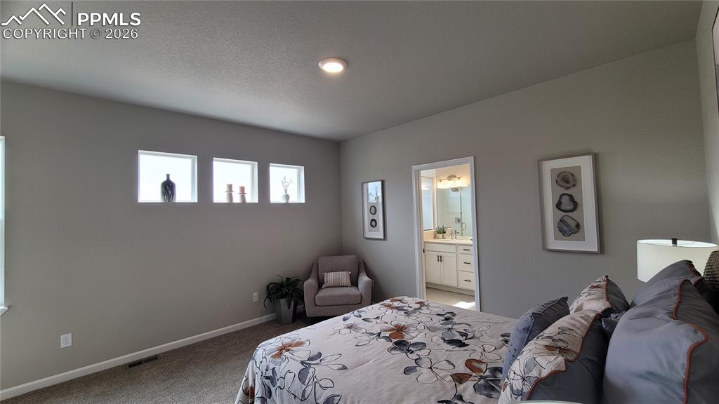 9439 Jollity Point Colorado Springs CO 80924