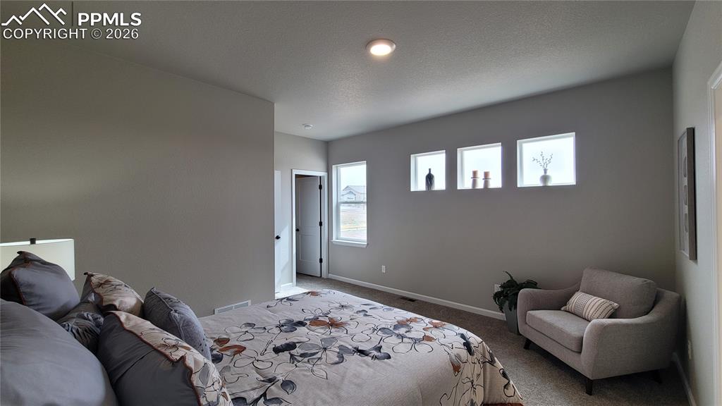 9439 Jollity Point Colorado Springs CO 80924