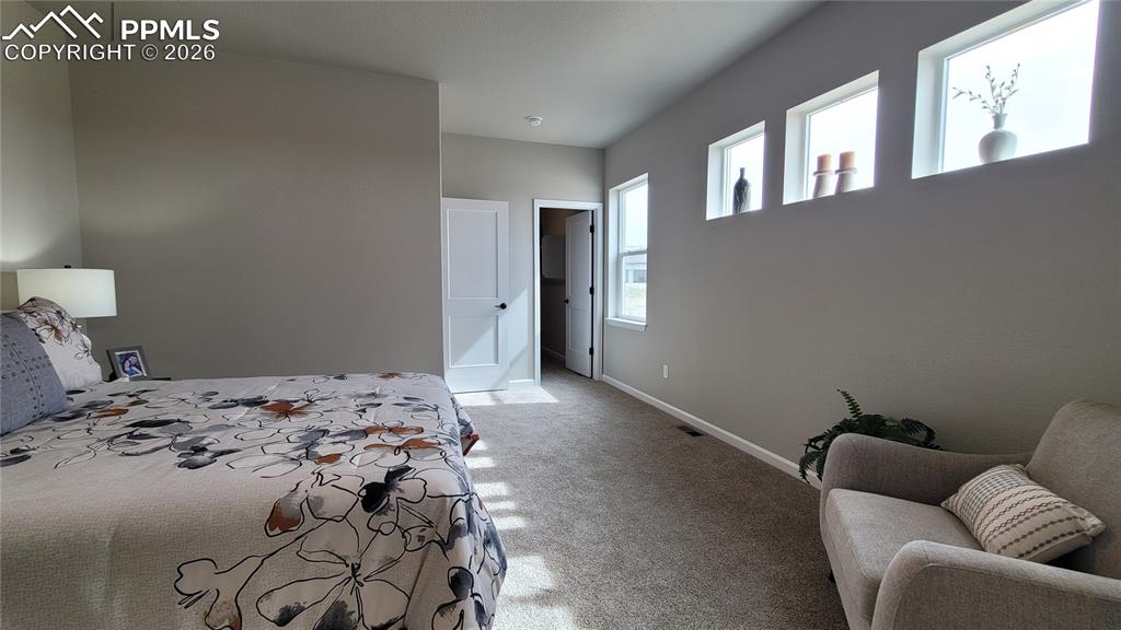 9439 Jollity Point Colorado Springs CO 80924