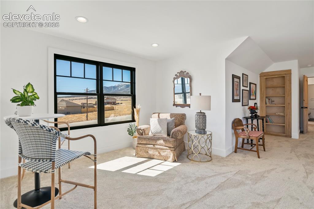 17320 County Road 306 Buena Vista CO 81211
