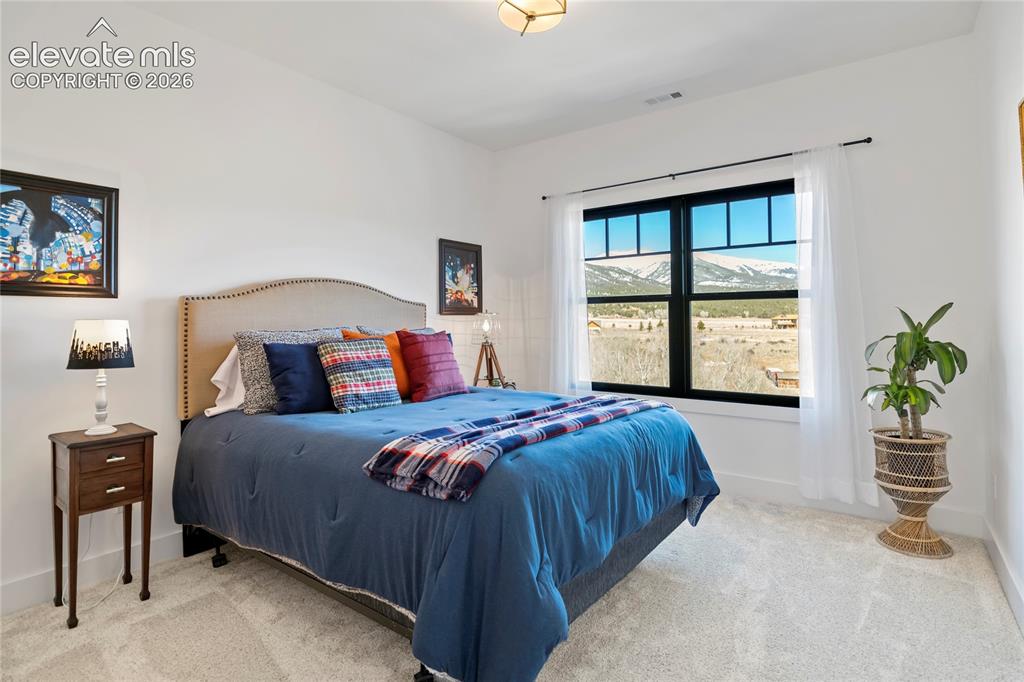 17320 County Road 306 Buena Vista CO 81211
