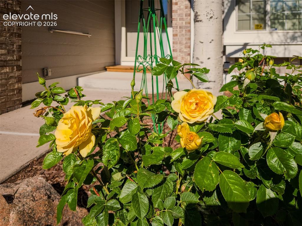 865 Piros Drive Colorado Springs CO 80922