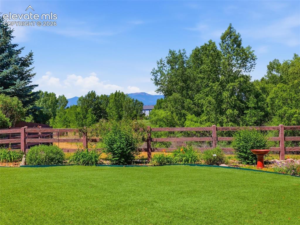 6188 Gunslinger Drive Colorado Springs CO 80923