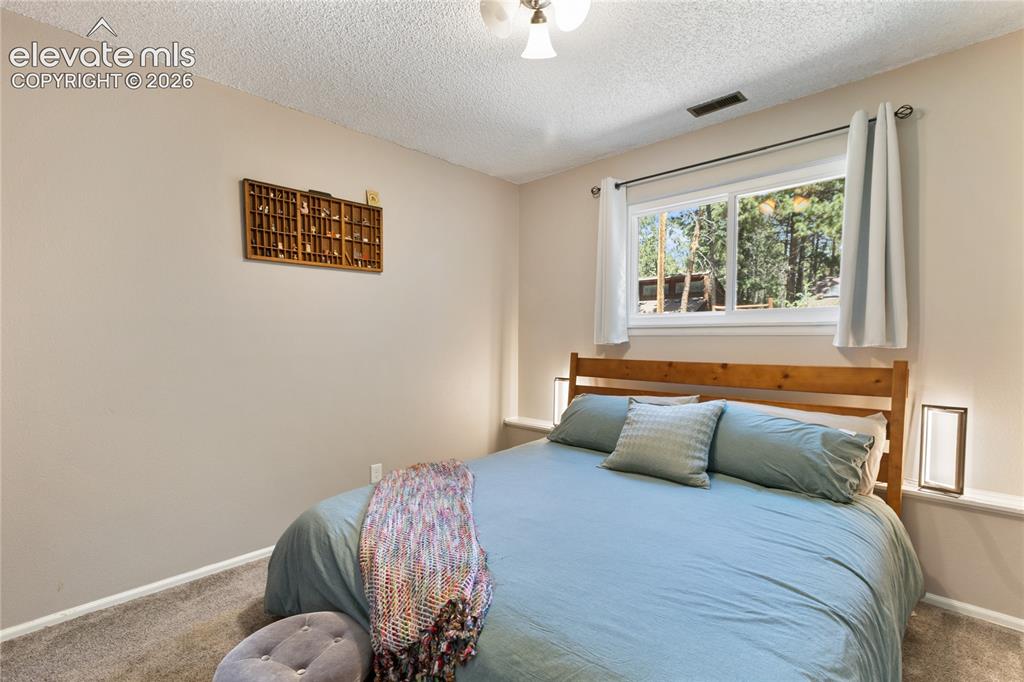 450 N Walnut Street Woodland Park CO 80863