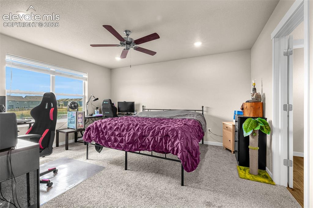 8122 Goldenray Place Colorado Springs CO 80908