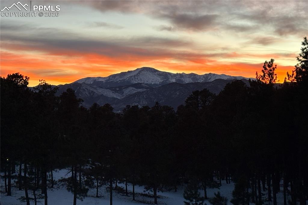 17270 Colonial Park Drive Monument CO 80132