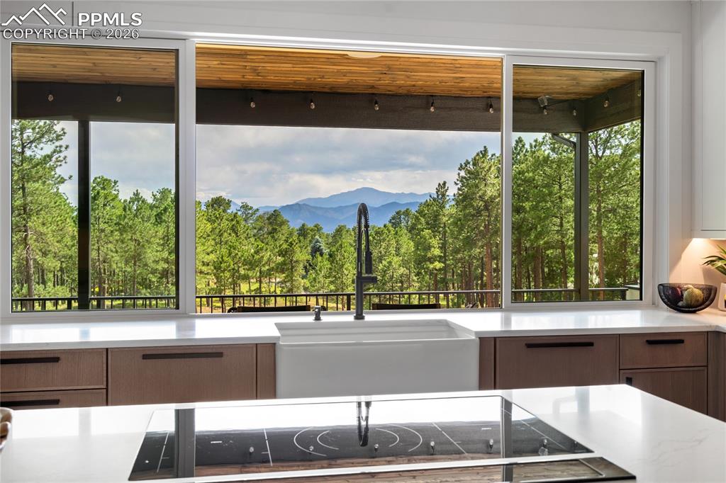 17270 Colonial Park Drive Monument CO 80132