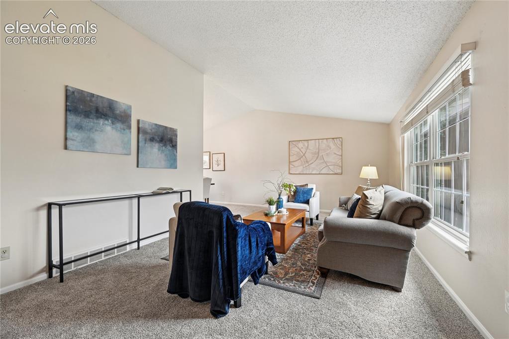 739 Tamarron Drive Colorado Springs CO 80919