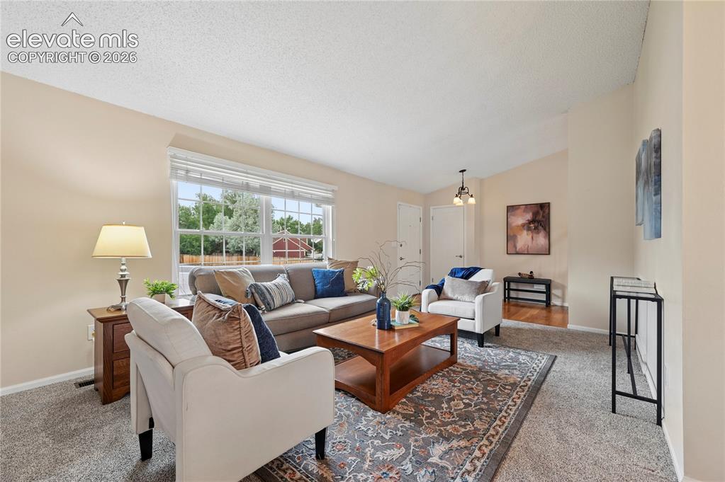 739 Tamarron Drive Colorado Springs CO 80919