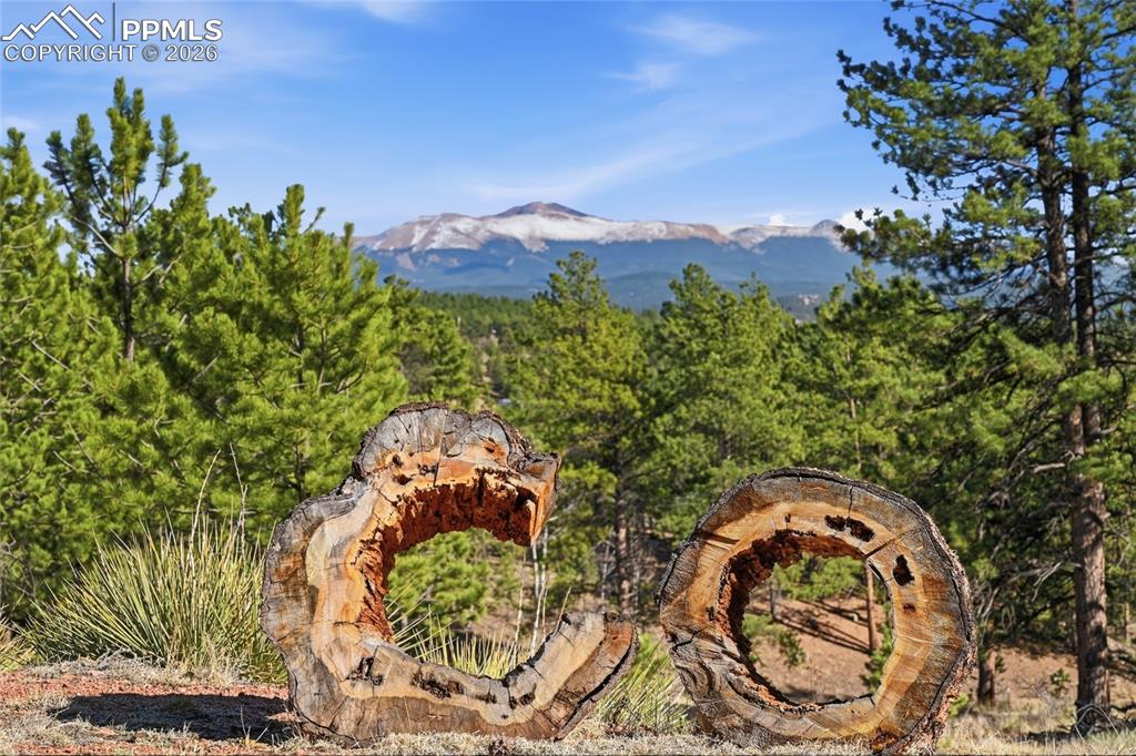 556 Circle Drive Florissant CO 80816