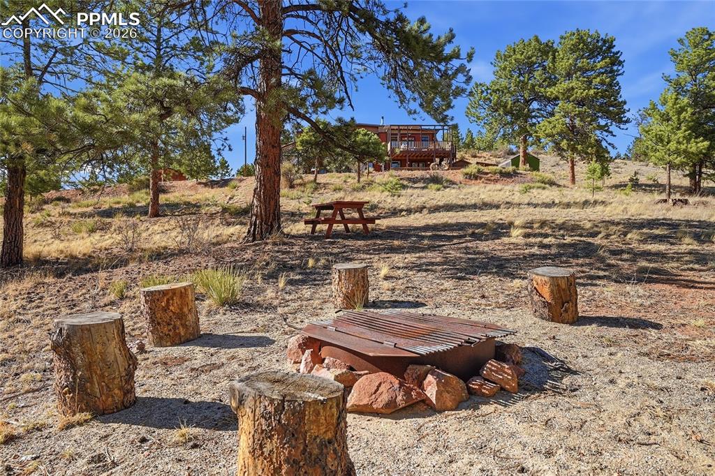556 Circle Drive Florissant CO 80816