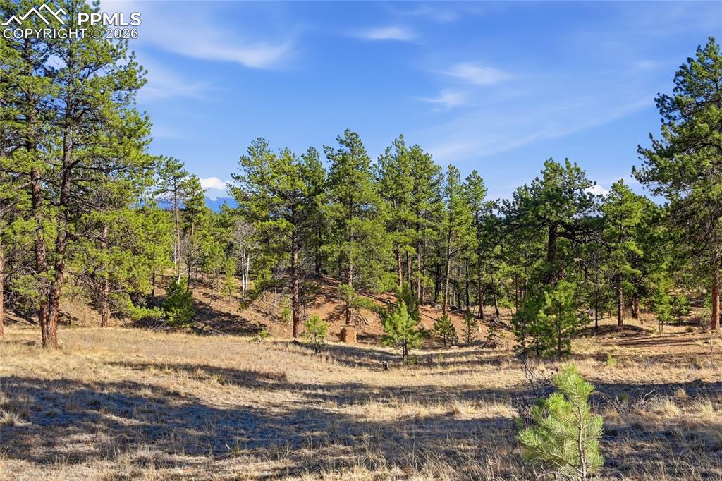 556 Circle Drive Florissant CO 80816