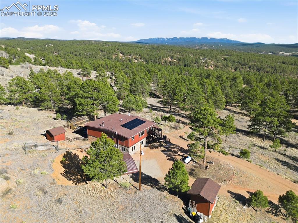 556 Circle Drive Florissant CO 80816