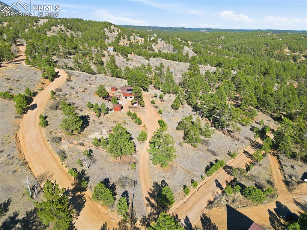 556 Circle Drive Florissant CO 80816