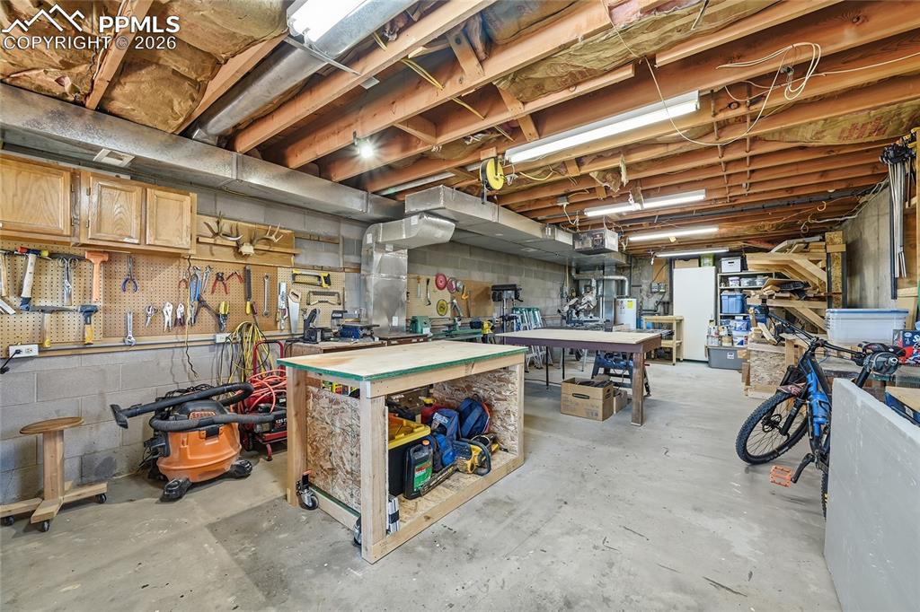 556 Circle Drive Florissant CO 80816