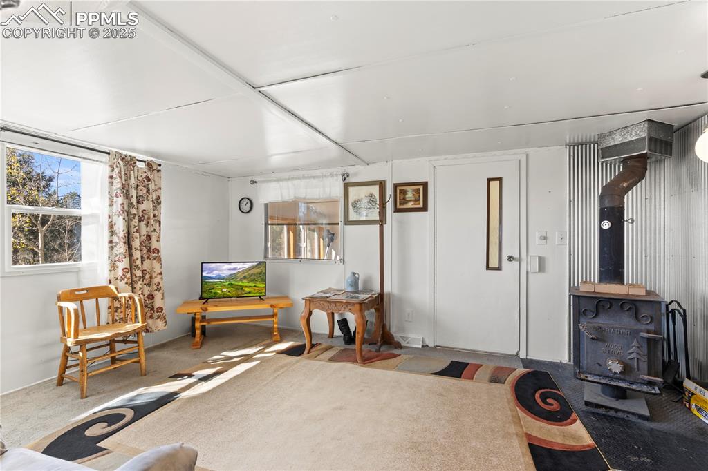 374 Fern Road Woodland Park CO 80863