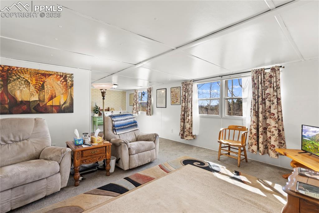 374 Fern Road Woodland Park CO 80863