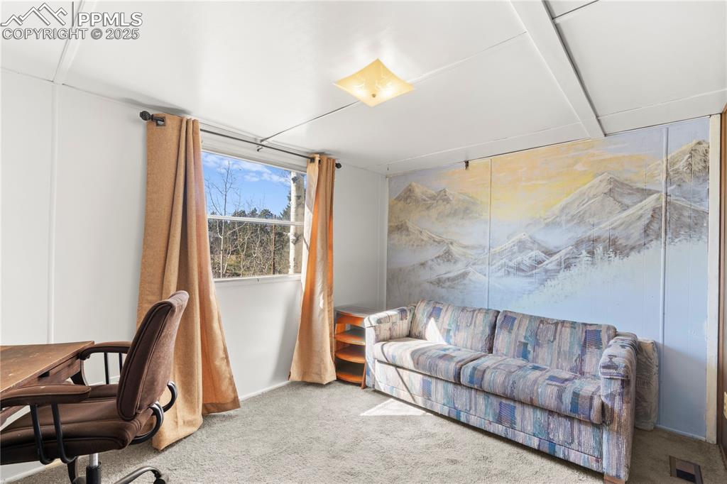 374 Fern Road Woodland Park CO 80863