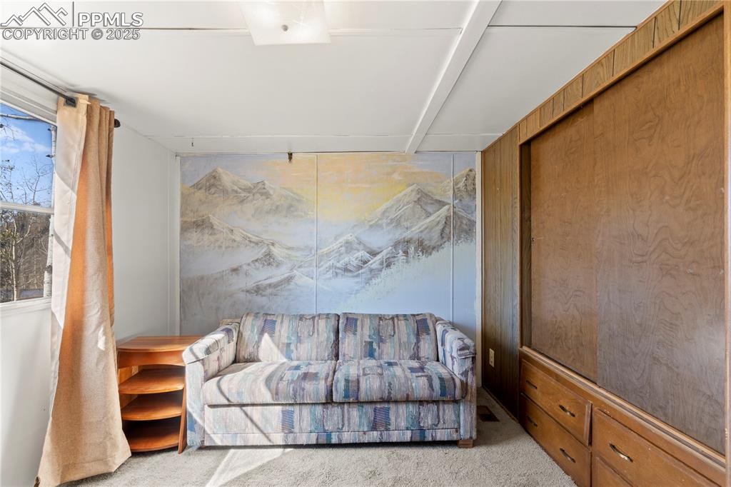 374 Fern Road Woodland Park CO 80863