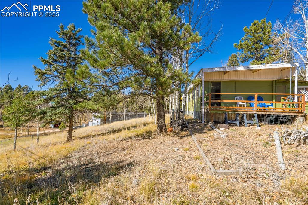 374 Fern Road Woodland Park CO 80863