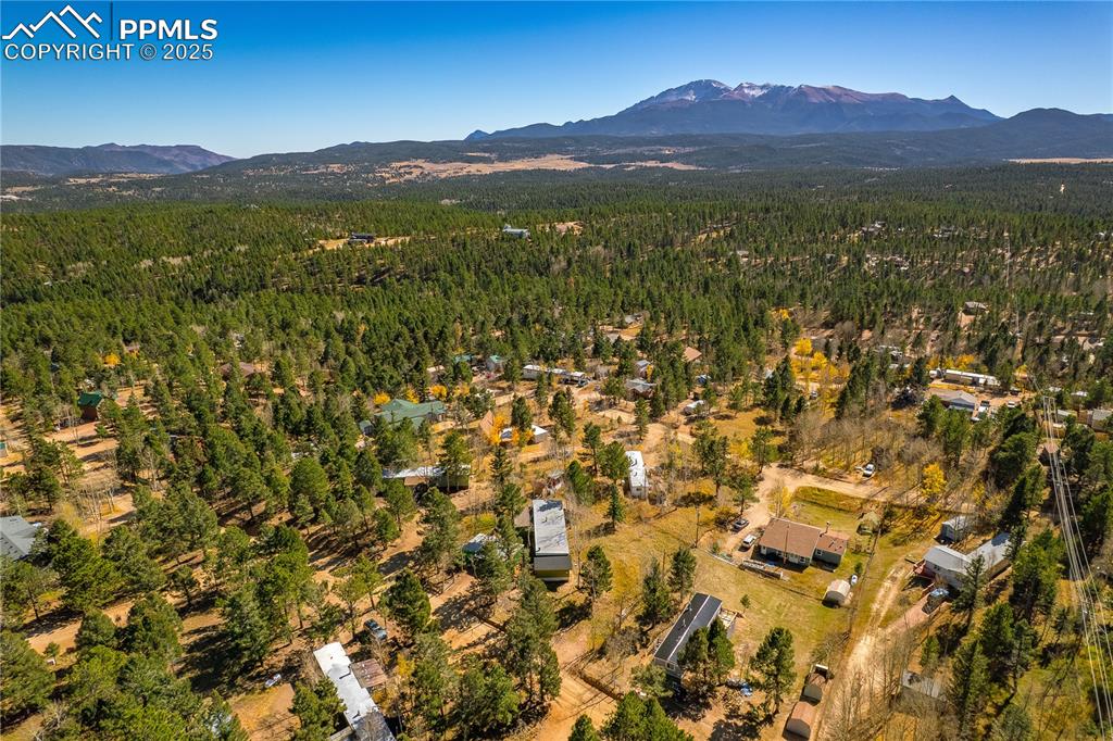 374 Fern Road Woodland Park CO 80863