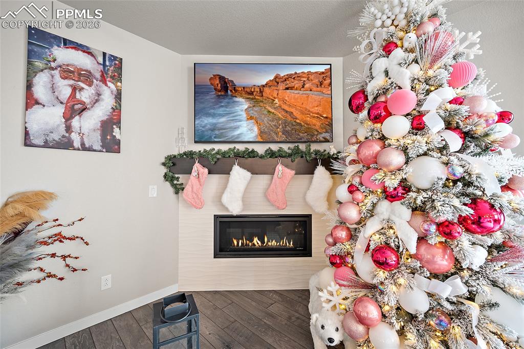 1031 Parkline Lane Monument CO 80132