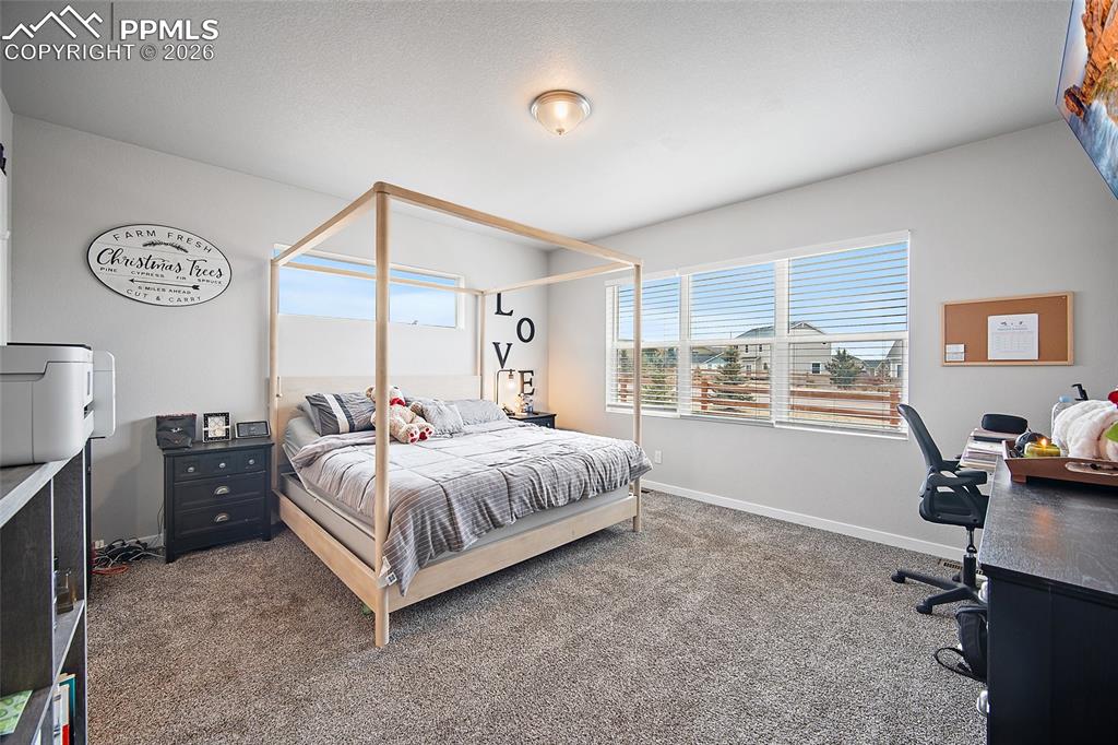 1031 Parkline Lane Monument CO 80132