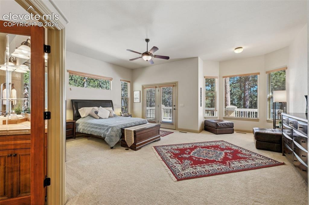 15931 Waving Branch Way Colorado Springs CO 80908