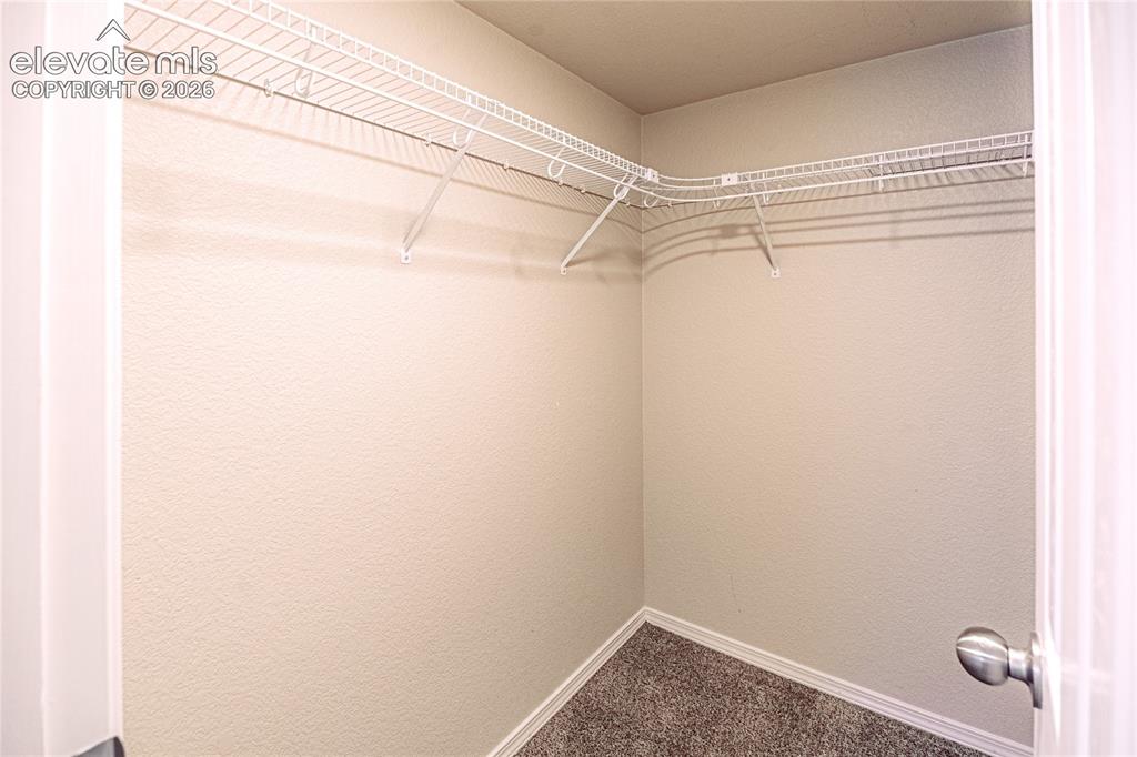 6351 Confederate Ridge Drive Colorado Springs CO 80923