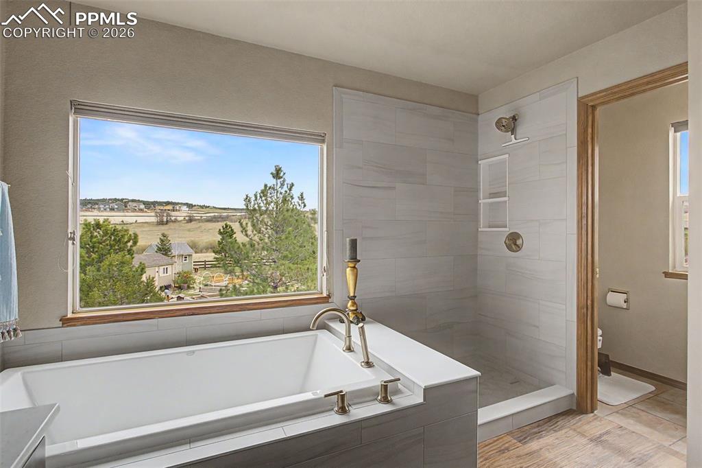 578 Larimer Creek Drive Monument CO 80132