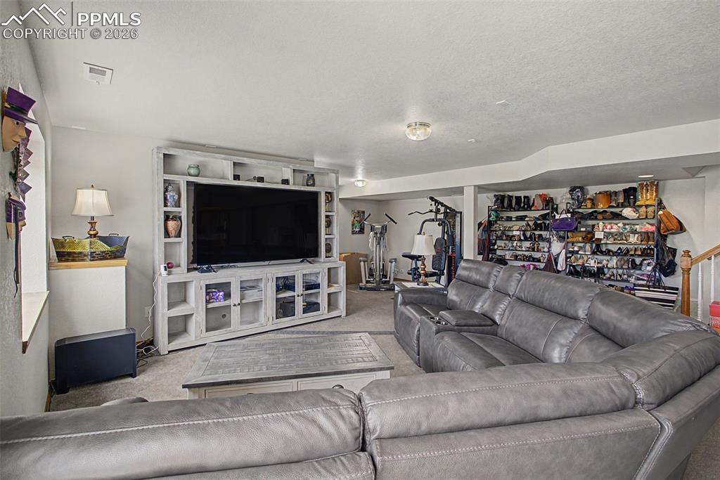 578 Larimer Creek Drive Monument CO 80132