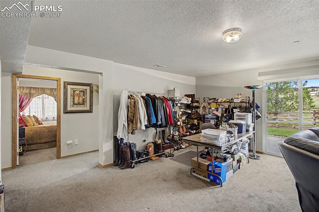578 Larimer Creek Drive Monument CO 80132
