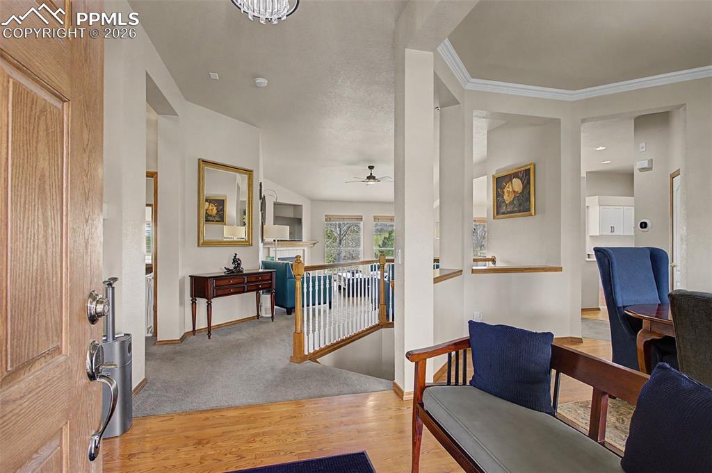 578 Larimer Creek Drive Monument CO 80132