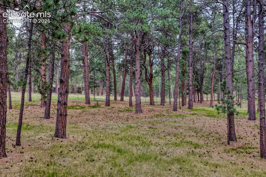 14225 Ponderosa Road Colorado Springs CO 80908