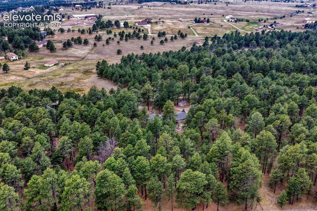 14225 Ponderosa Road Colorado Springs CO 80908