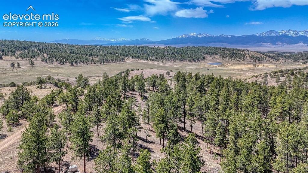 4701 County Road 323 Westcliffe CO 81252