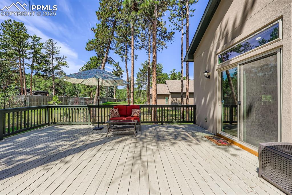 1163 Ptarmigan Drive Woodland Park CO 80863